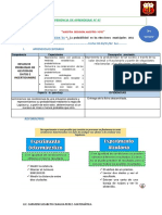 EXPERIENCIA N°7 FICHA N°31 3er Grado