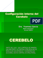 Cerebelo 210201221151