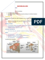 Anatomía Del Oído