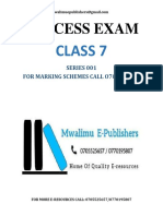 CLASS 7 SUCCESS SERIES 1