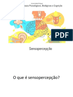 Processos Psicológicos, Biológicos e Cognição: Sensopercepção