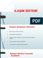 04A. Dolaşım Sistemi Fizyolojisi