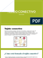 Tejido Conectivo