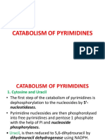 5 CATABOLISM OF PYRIMIDINES