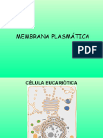 Membranas celulares e suas funções