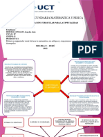 Educ.Secundaria Matemática y Física: Organizador Visual de Área, Enfoques y Competencias