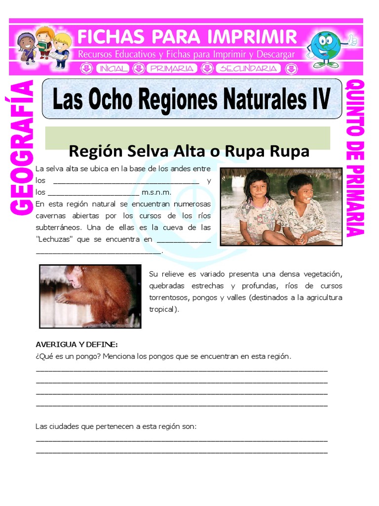 Flora y fauna de la región Rupa Rupa | PDF | Entorno natural | Perú