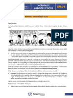Normas e Padroes Eticos PDF Cpa 20