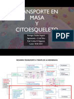 Clase 11 Transporte Masa-Citoesqueleto 18ABR22