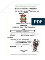 PDF Caratulas Andina Derecho Varios DL