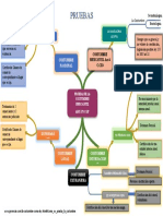 Mapa Mental Puebas