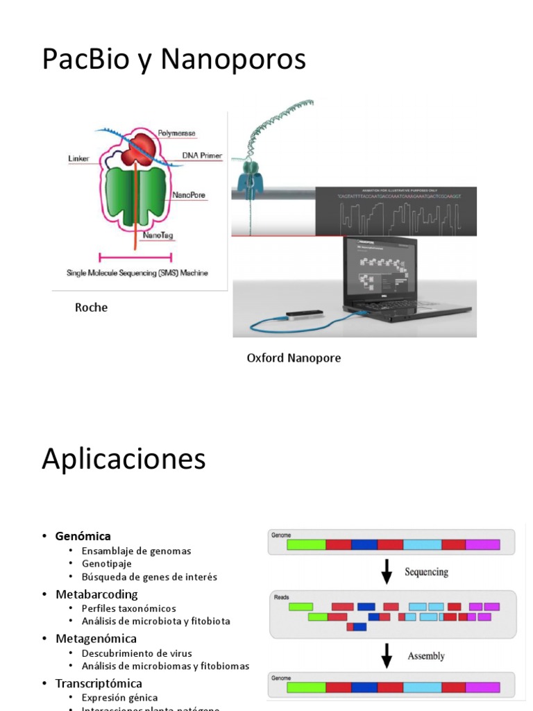 Aplicaciones de PacBio y Nanoporos | PDF | Informática | Tecnología