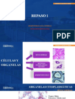 Repaso Teoría-Práctica Histología