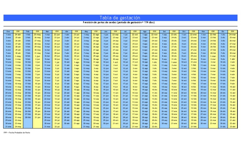 Tabla de Gestación de Cerdas 2023-2025 | PDF | Embarazo Mamífero ...