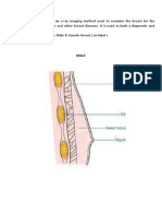 Male & Female Breast