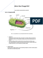Struktur Dan Fungsi Sel