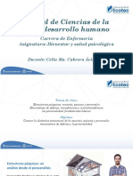 Estructuras psíquicas: neurosis, psicosis y perversión