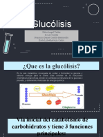 Glucolisis