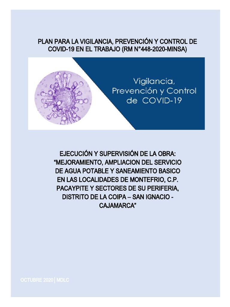 Plan Covid-19 Pacaypite | PDF | Lavado de manos | Ciencias de la Salud