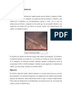 Problemas de Pared Abdominal (1) .Docx Manual