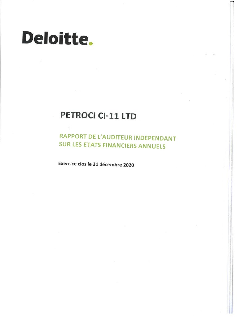 Deloitte Rapport Auditeur Independant Sur Les Etats Financiers Annuels ...