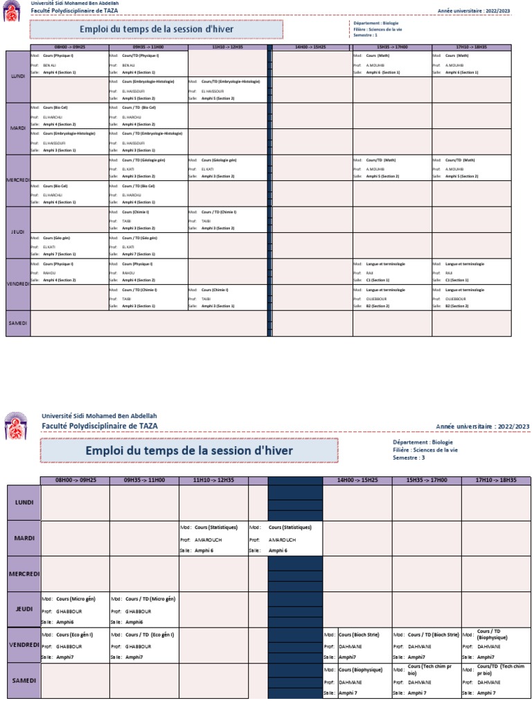 Emploi Du Temps SVI 2022 2023 V2 | PDF | Sciences physiques | Science ...