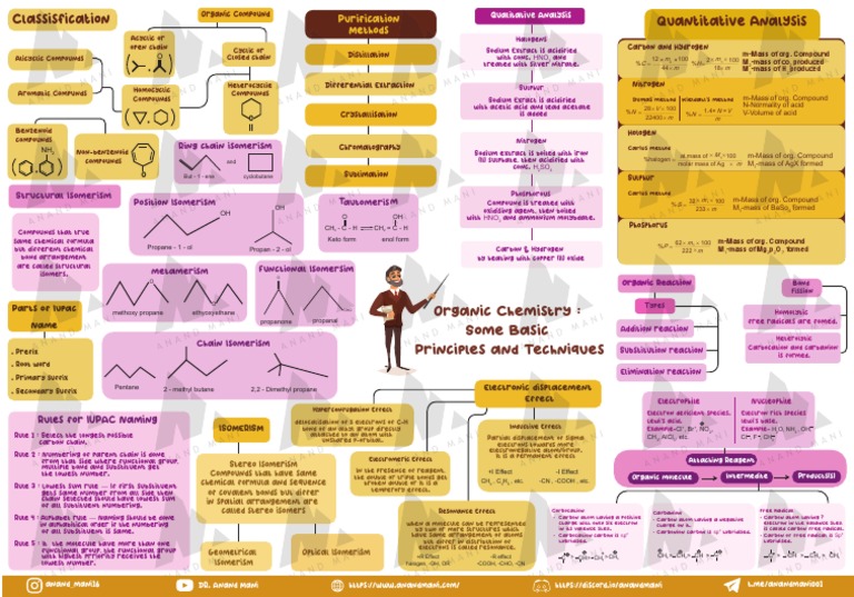 Organic Chemistry Basics Some Principle | PDF | Functional Group