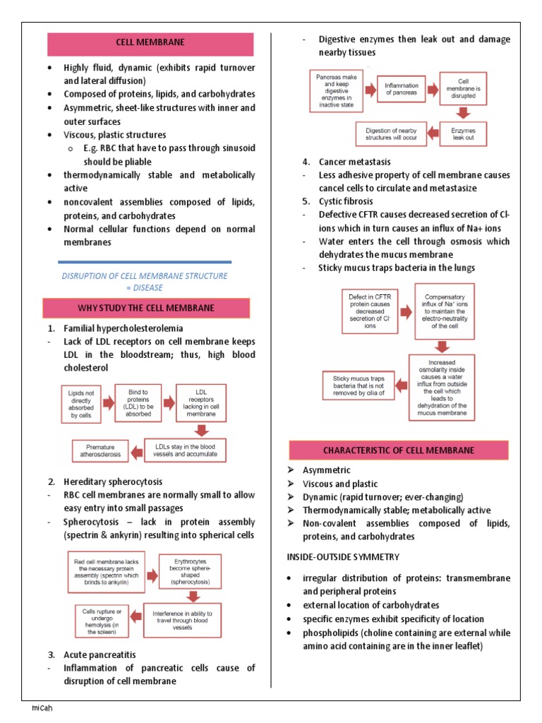 Cell Membrane | PDF | Cell Membrane | Cell Signaling