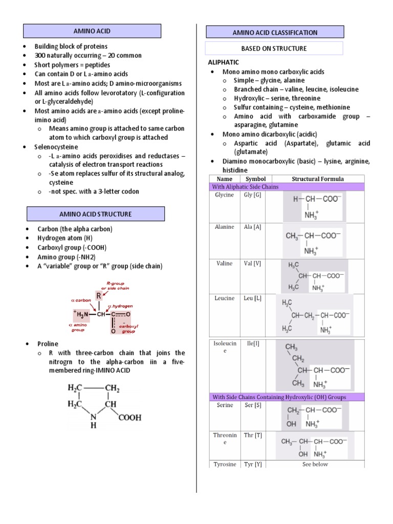 Amino Acids Peptides Protein Structures PDF Amino Acid Protein Structure