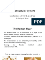 4cardiovascular System