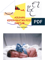 Asuhan Keperawatan Post Partum