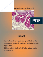 3 Az Emberi Test Szövetei