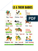 Từ vựng theo chủ đề - animals - their babies and house