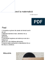 Proiect La Matematică.