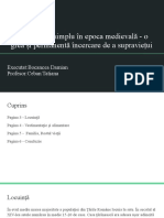 damian bocancea - Structuri şi relaţii sociale în Evul Mediu