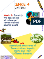 Q2 SCI - W3 Specialized Structures of Terrestrial and Aquatic Plants