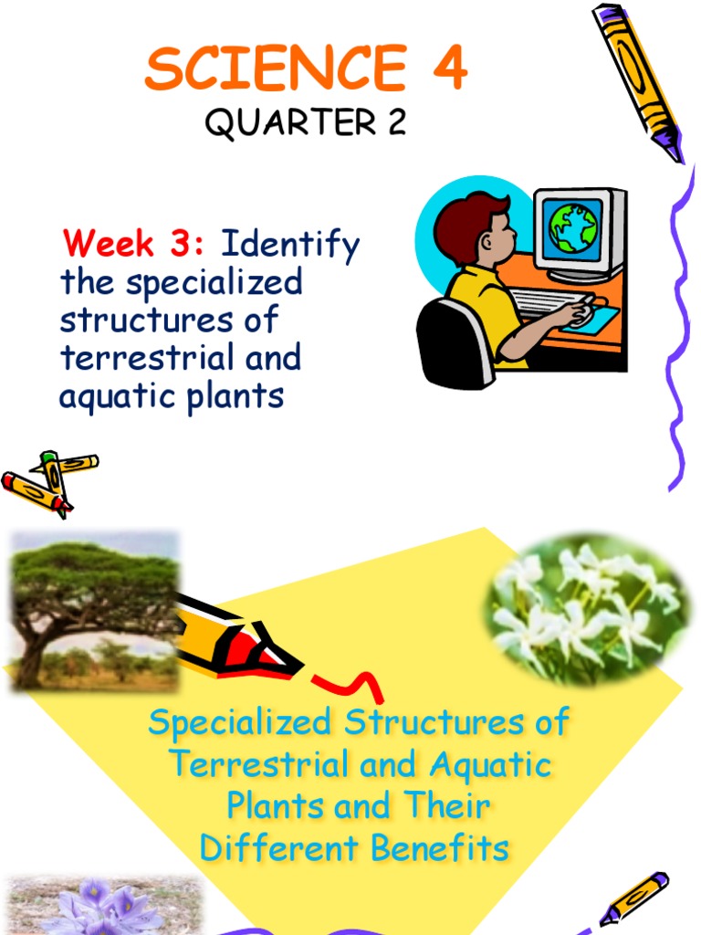 Q2 SCI W3 Specialized Structures of Terrestrial and Aquatic Plants