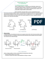 Carboidratos: estrutura, digestão e transporte