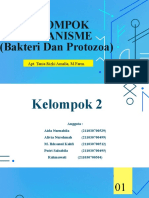 Bakteri Kelompok 02