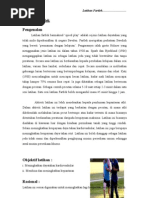 Download Tugasan KKBI - Latihan Fartlek by JamesChiew SN60551826 doc pdf
