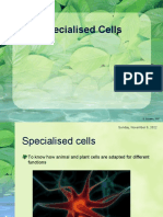 6 Specialised Cells