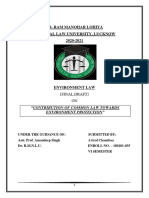 Environmental Law-Final Draft