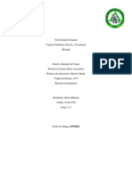 Informe 2 Muestreo de Serpientes y Anfibios