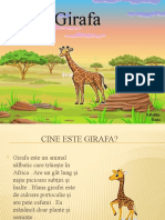 Презентация1 Girafa
