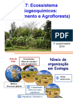 Ciclos biogeoquímicos em ecossistemas florestais e agrícolas