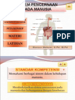 Sistem Pencernaan Pada Manusia