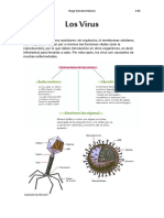 Los Virus