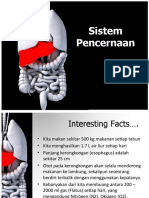 Sistem Pencernaan