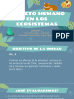 Ecosistemas de Chile