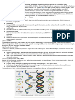 ¿Qué Es El ADN?